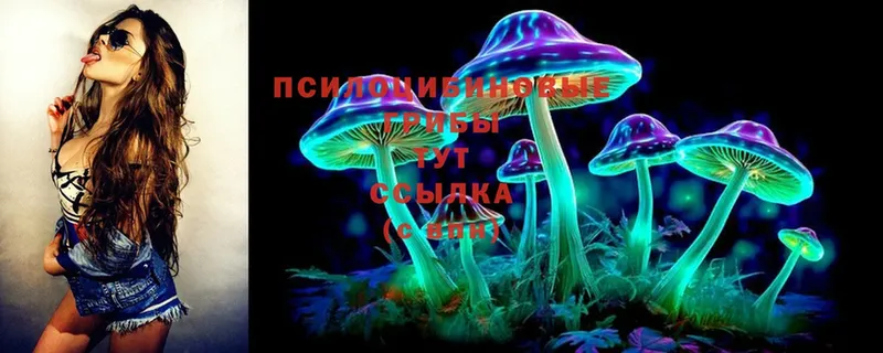 Псилоцибиновые грибы Cubensis  Мытищи 